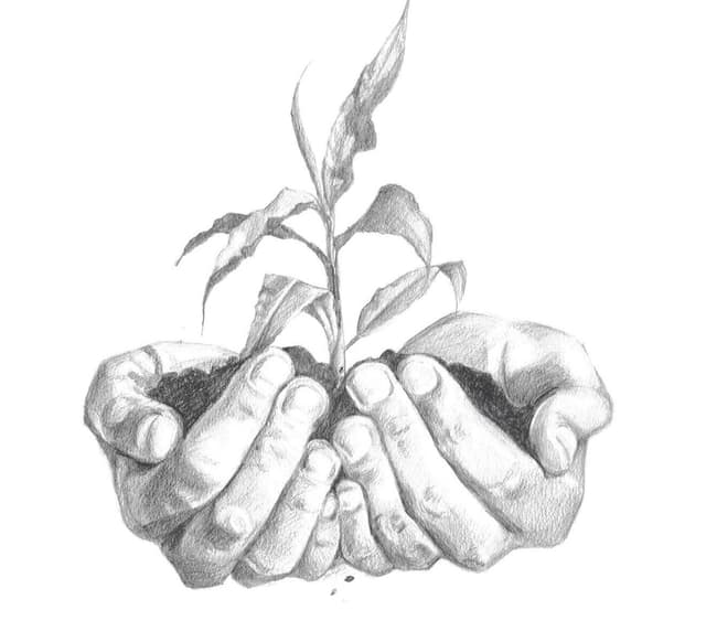 mfer hands